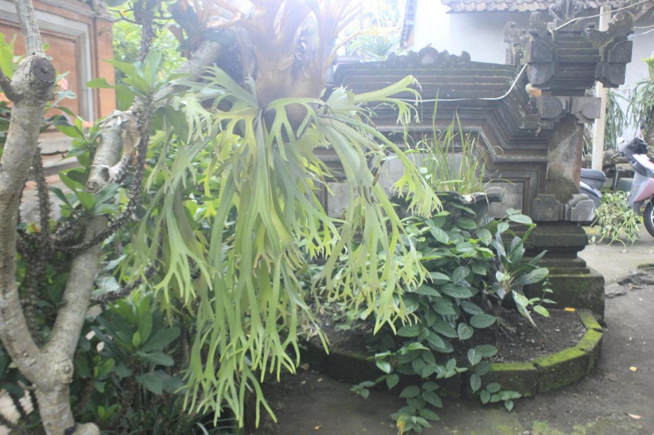 Umah De Arlika Ubud Exterior photo